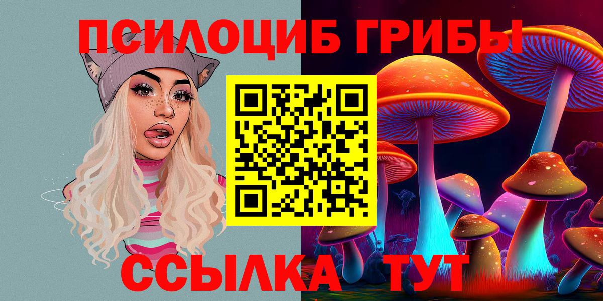 Псилоцибиновые грибы Psilocybine cubensis Лесной